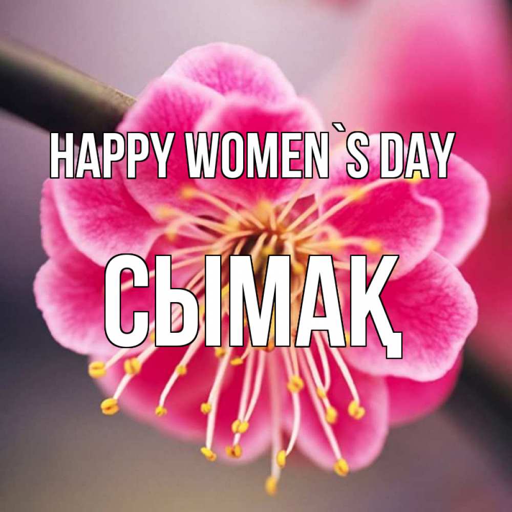 Greetings card с именем, СЫМАҚ happy women`s day цветы Greetings with text for free download 